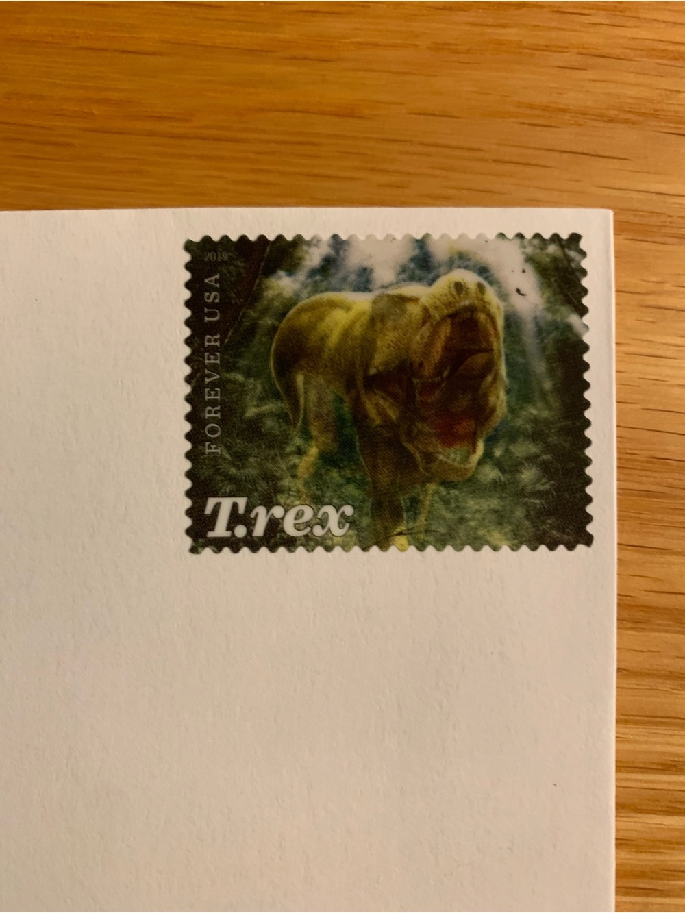 12 Stamped Dinosaur blank notecards - Picture 10 of 10